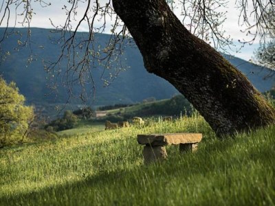 Apartment Apartment in Umbria with garden - Environment photo 20