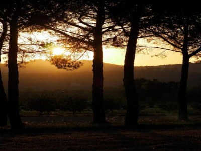 Apartment Apartment in Umbria with garden - Environment photo 25
