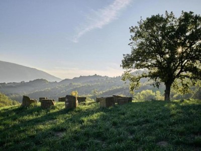 Apartment Apartment in Umbria with garden - Environment photo 34