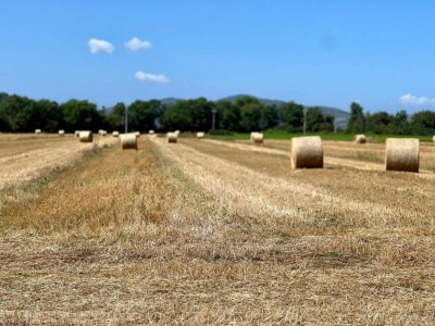 Apartment Apartment in Umbria with garden - Environment photo 35