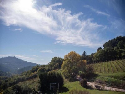 Apartment Apartment in Umbria with garden - Environment photo 36