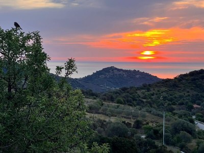Villa W near Budoni - Outdoor photo 4