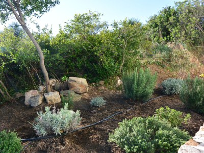 Villa W near Budoni - Outdoor photo 12