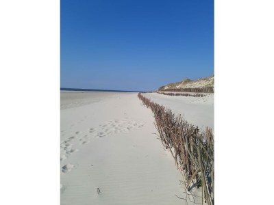 Villa W near Budoni - Environment photo 38