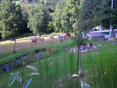 Holiday house Haus in der Nähe der Trüffelhauptstadt Aups - Environment photo 25