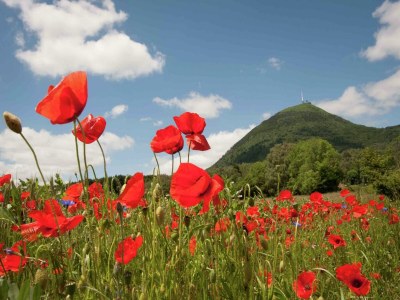 Holiday house Haus in der Nähe der Trüffelhauptstadt Aups - Environment photo 28