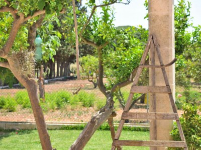 Villa 239 Villa Biniaco ETV/4993 by Mallorca Charme - Outdoor photo 19