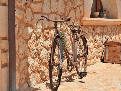 Villa 239 Villa Biniaco ETV/4993 by Mallorca Charme - Outdoor photo 35