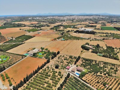 Villa 239 Villa Biniaco ETV/4993 by Mallorca Charme - Outdoor photo 42