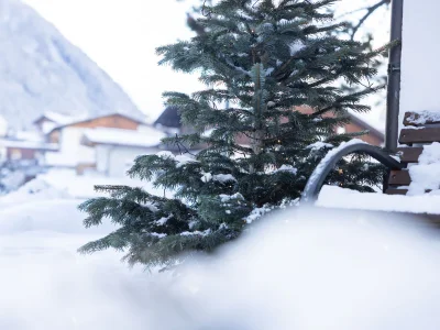 Apartment Donna Kelina - Outdoor photo 6