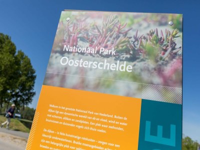 Apartment Apartment in Sint-Annaland by Oosterschelde - Outdoor photo 48