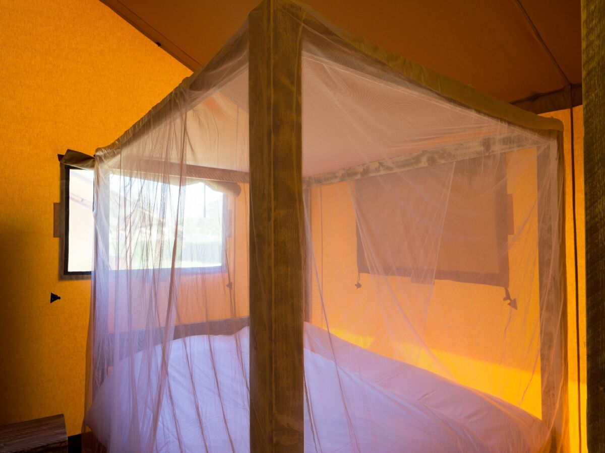 Holiday park Cozy Glamping in Mierlo - Features photo 5