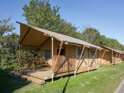 Holiday park Cozy Glamping in Mierlo - Holiday park