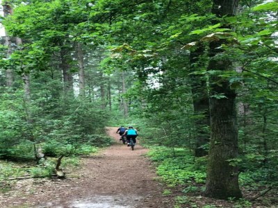 Holiday park Cozy Glamping in Mierlo - Environment photo 21