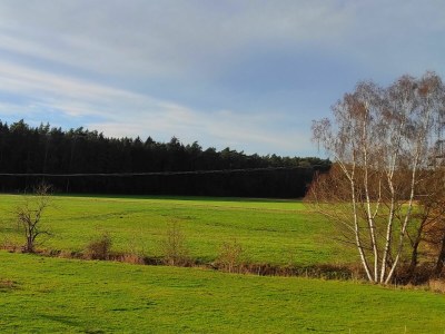 Holiday house "Frieda's House" - Environment photo 36