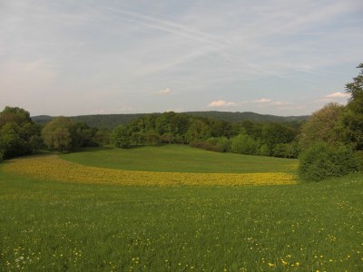 Holiday house "Frieda's House" - Environment photo 40