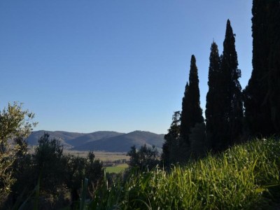 Holiday house Country Charm near Cortona - Environment photo 21