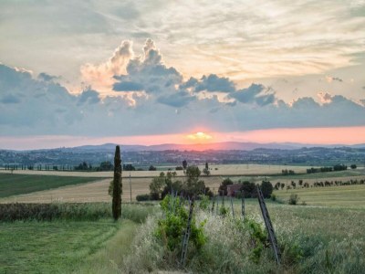 Holiday house Country Charm near Cortona - Environment photo 23