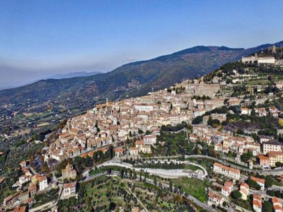 Holiday house Country Charm near Cortona - Environment photo 37