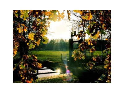 Holiday apartment Spreewaldstübchen - Environment photo 7