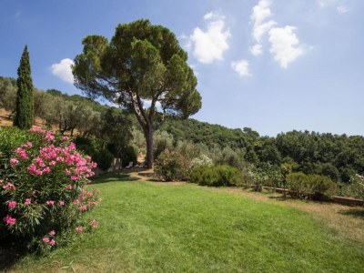 Apartment Apartment in Tuscany near Montecatini Golf Club - Environment photo 34