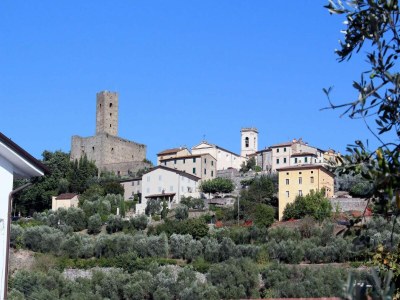Apartment Apartment in Tuscany near Montecatini Golf Club - Environment photo 35
