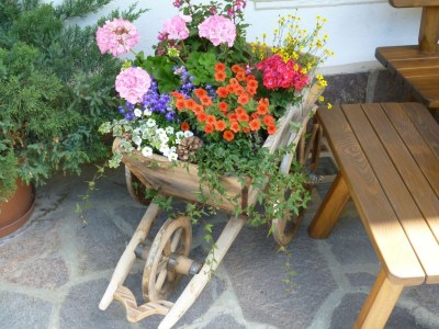 Holiday apartment Garni Kostner - Environment photo 20