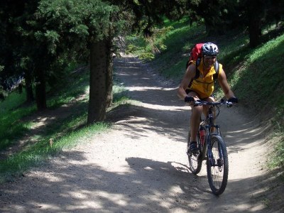 Holiday apartment Garni Kostner - Environment photo 21