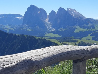 Holiday apartment Garni Kostner - Environment photo 23