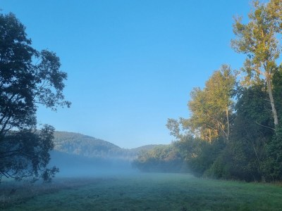 Bungalow No title - Outdoor photo 12