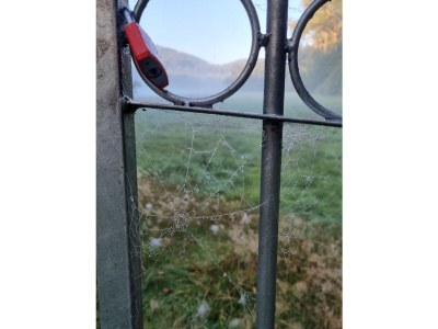 Bungalow No title - Outdoor photo 14