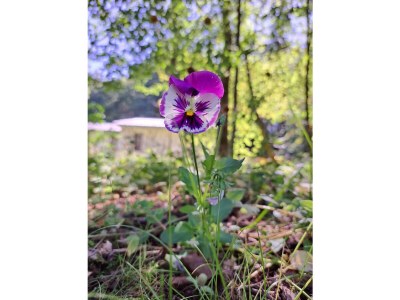 Bungalow No title - Outdoor photo 15