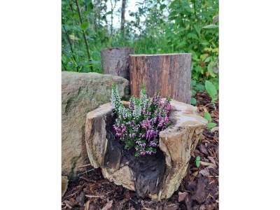 Bungalow No title - Outdoor photo 17