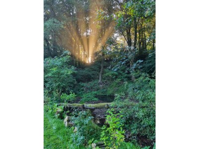 Bungalow No title - Outdoor photo 18