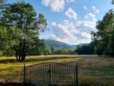 Bungalow No title - Environment photo 35