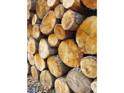 Bungalow No title - Environment photo 36