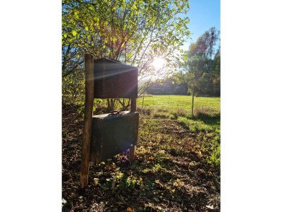 Bungalow No title - Environment photo 37