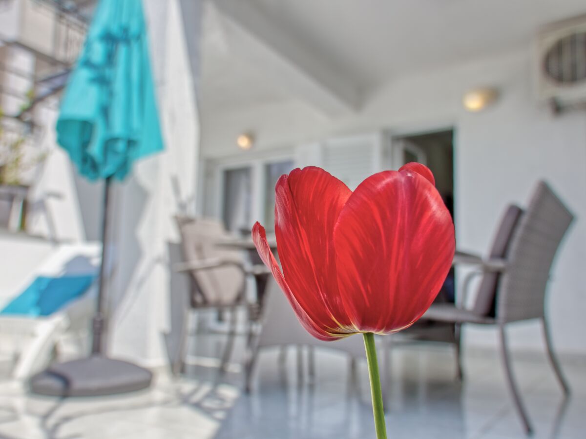 Holiday apartment Lori - Outdoor photo 4