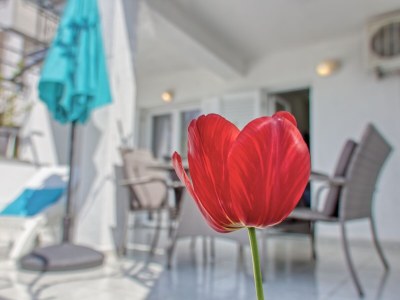 Holiday apartment Lori - Outdoor photo 4