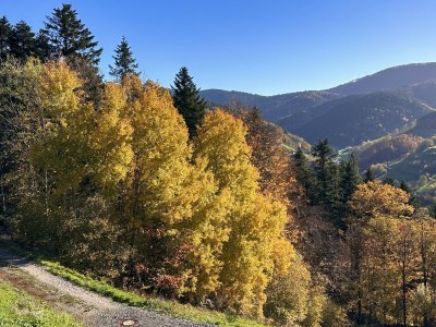 Holiday apartment No title - Environment photo 26