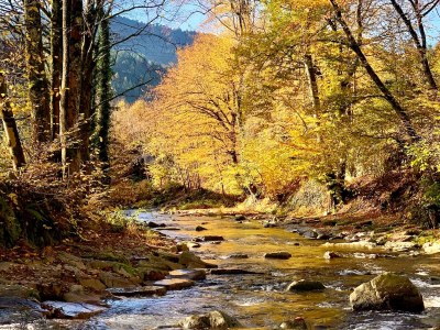 Holiday apartment No title - Environment photo 28