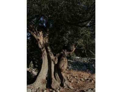 Holiday apartment Bella Mare - Environment photo 24