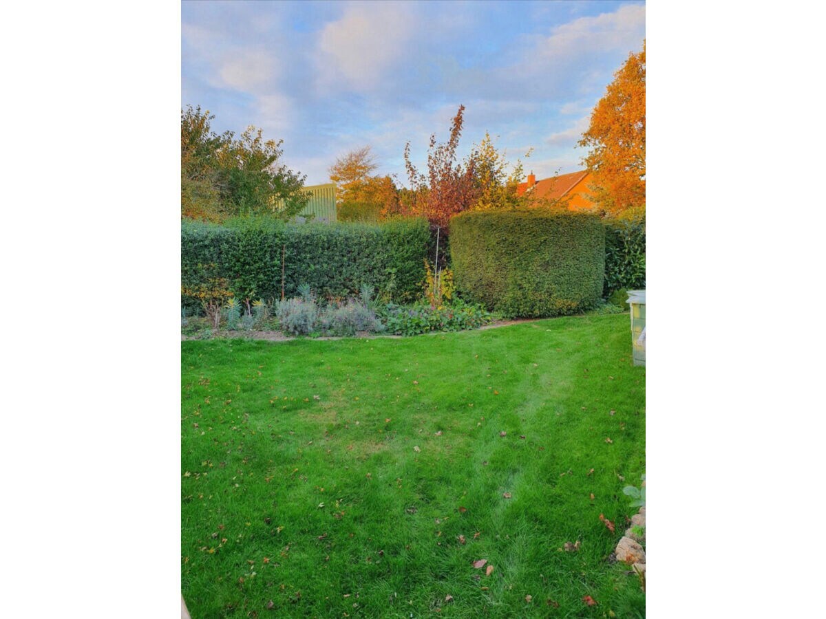 Holiday house Tannis Ostseetraum - Outdoor photo 4