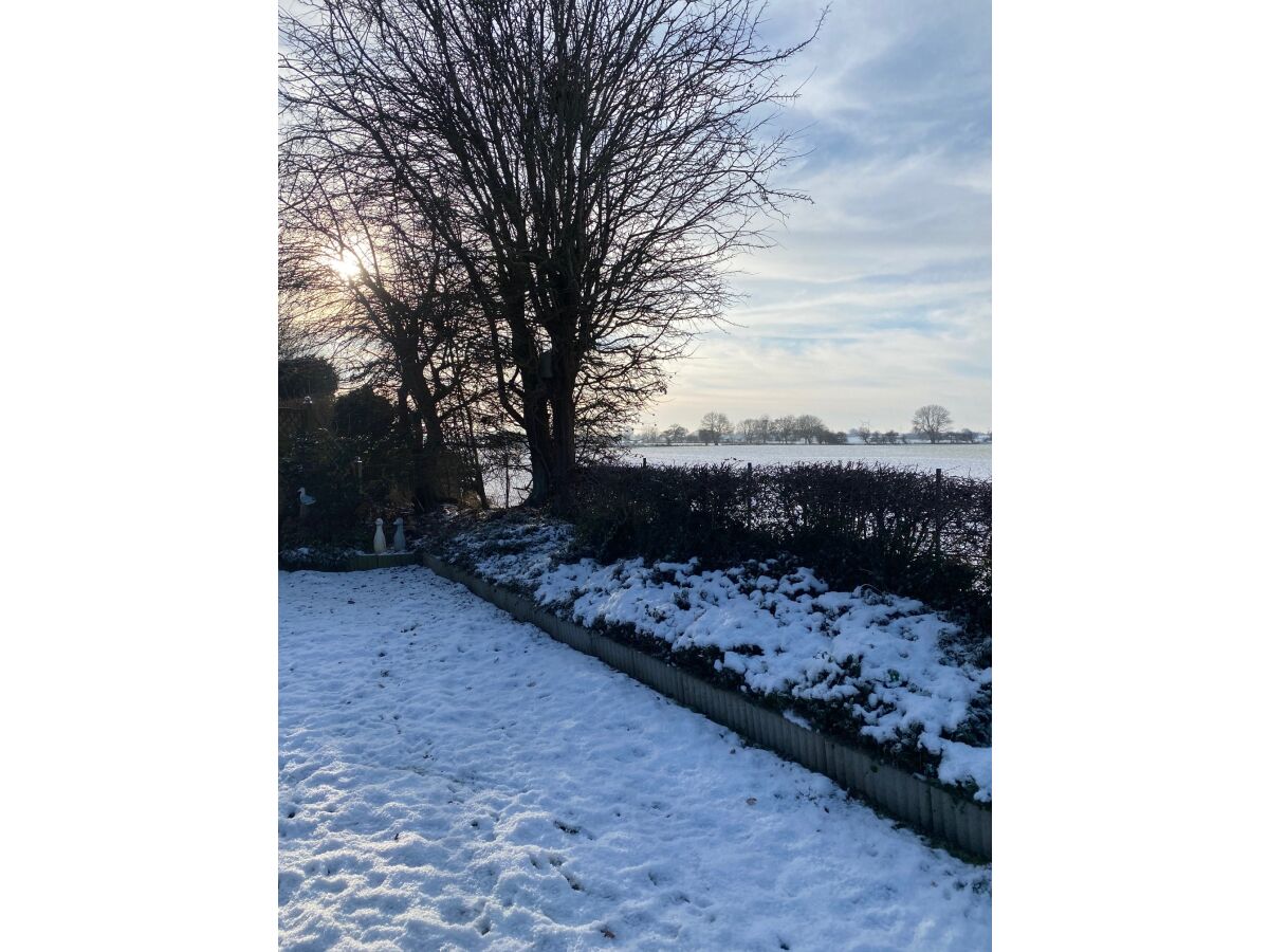 Holiday house Tannis Ostseetraum - Outdoor photo 5