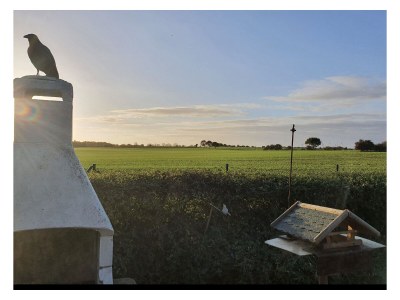 Holiday house Tannis Ostseetraum - Outdoor photo 3