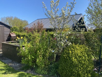 Holiday house Tannis Ostseetraum - Outdoor photo 8