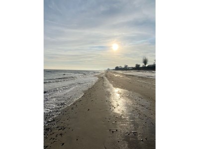 Holiday house Tannis Ostseetraum - Environment photo 30