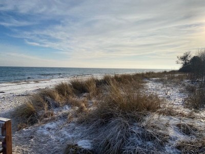 Holiday house Tannis Ostseetraum - Environment photo 32