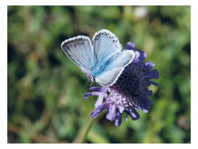 Holiday house Haus Benedikt - Environment photo 10