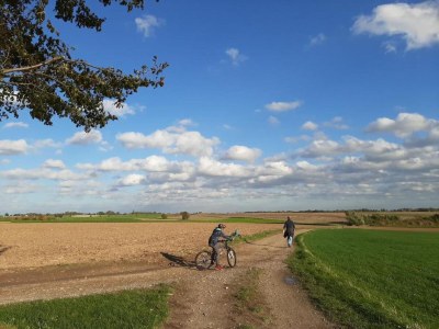 Holiday park Beautiful lodge in Gulpen with garden - Environment photo 18